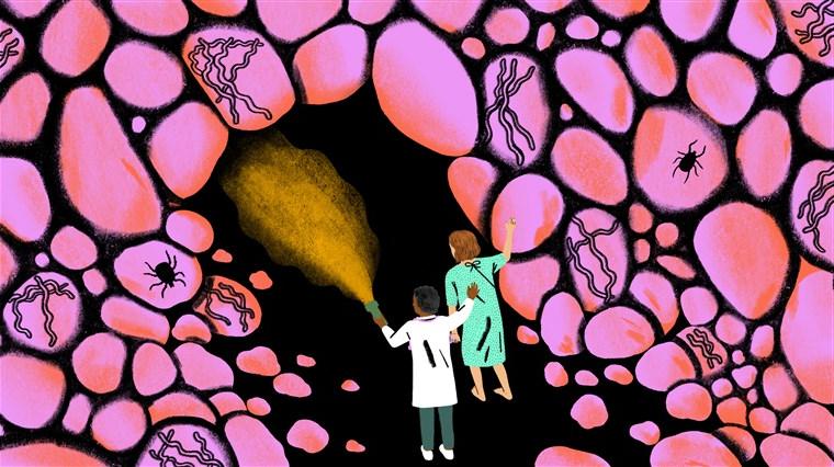 A doctor with a flashlight leading a patient into what looks like a cave composed of biological cells. 